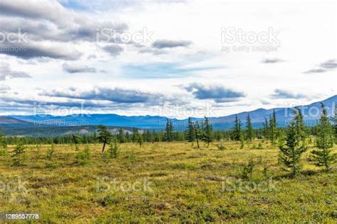 Hutan Konifer Tundra Subpolar Dan Pegunungan Yang Jauh Di Ural Pada ...