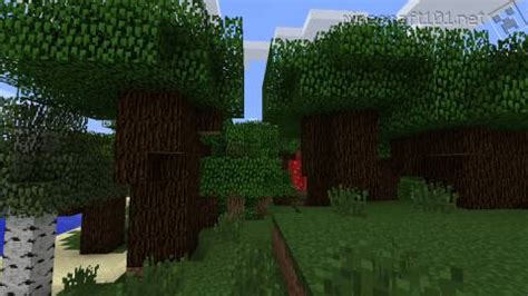 Dark Oak Wood Tree | Minecraft Network | FANDOM powered by Wikia