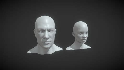 Human-head 3D models - Sketchfab