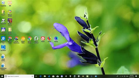 Austin Botanical Garden theme for Windows 10, Windows 8 and Windows 7