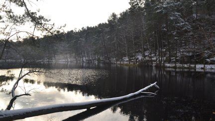 park, lake, winter, water, nature, snow, trees, reflection | 4608x3072 ...