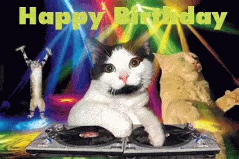 Grumpy Cat Happy Birthday Gif