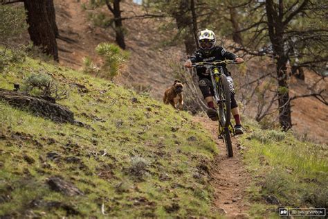 Mountain Bike Trails Reno - Bicycle