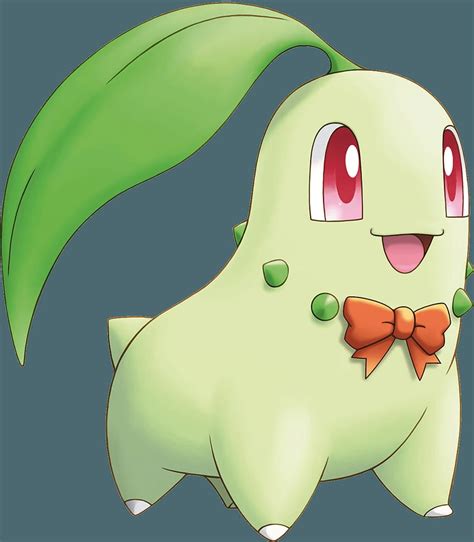 Pokemon GO Chikorita HQ HD phone wallpaper | Pxfuel