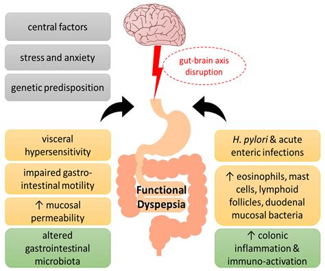 Nutrients | Free Full-Text | Food, Dietary Patterns, or Is Eating Behavior to Blame? Analyzing ...