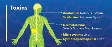 Harmful Algal Blooms | HABs