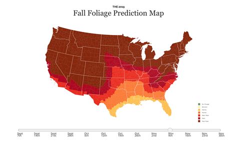 2019 Fall Foliage Report in The Smoky Mountains |Pigeon Forge Chamber of Commerce