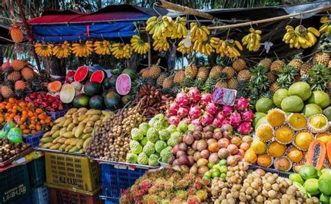 The Growing Popularity of Exotic Fruits and Vegetables in Indian Market