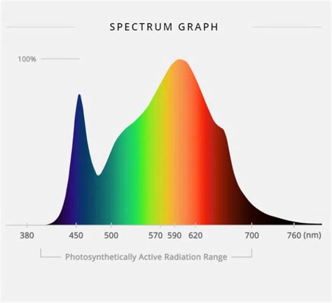 How to Choose an Ideal Full Spectrum LED Grow Light – ViparSpectra