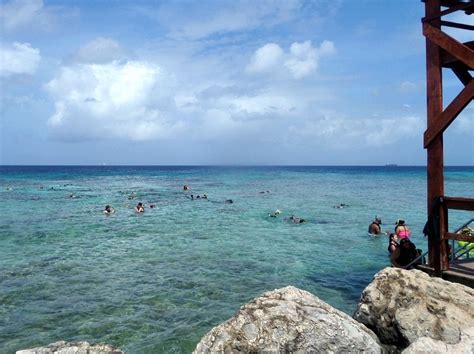 Aruba Cruise Excursion: De Palm Island, Beach & Snorkel