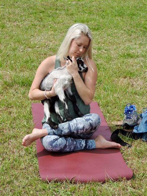 Orlando has baby goat yoga - bungalower