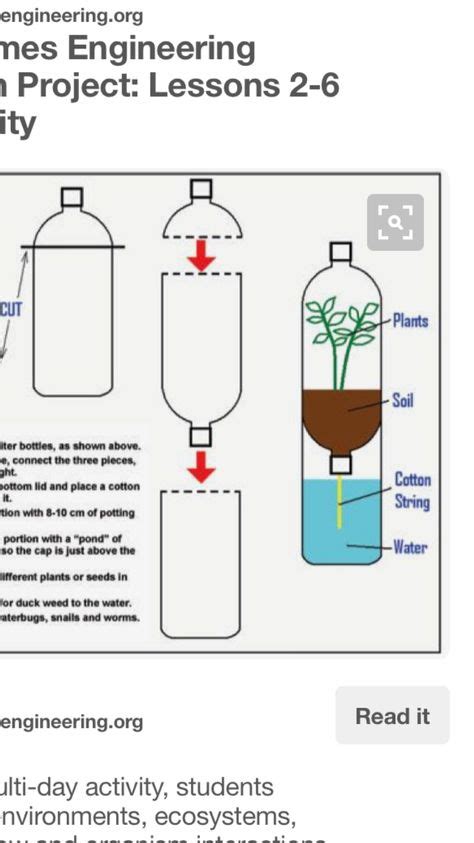 13 Ecology Design Project ideas | ecology design, ecology projects, design projects