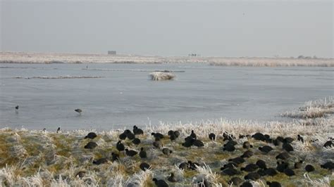 Oare Marshes | Kent Wildlife Trust