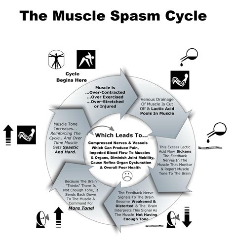 Muscle Spasm Cycle - NeuroSoma Therapy of Fresno