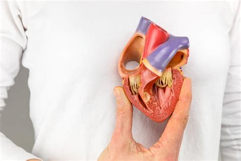 Dextrocardia: Causes, symptoms, and treatment