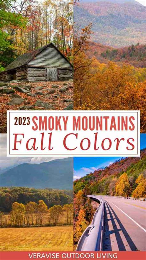 Fall Colors Smoky Mountains 2023