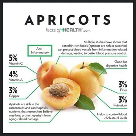 Apricot benefits | Food health benefits, Health, Health tips