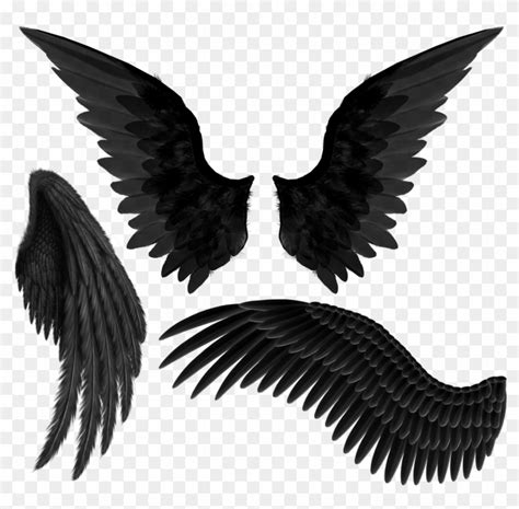 Black Angel Wings Png, Transparent Png - 1280x1280(#2613522) - PngFind