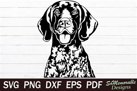 Shorthaired Pointer SVG cut file, German Pointer (1413601)