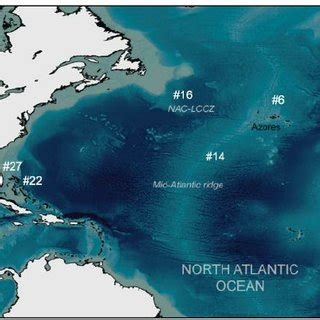 Fig. S1. Shark tagging locations showing the number of tags ...