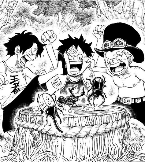 Sabo Luffy And Ace One Piece Pictures One Piece Manga - vrogue.co