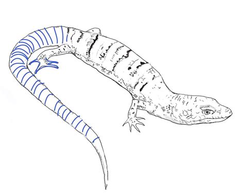 Free Printable Lizard Coloring Pages For Kids