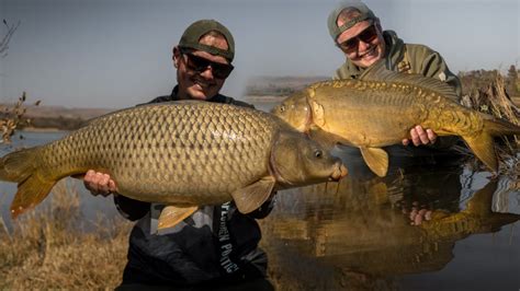 Big carp fishing at Buffelspoort dam // Carp fishing South Africa 2020 - YouTube