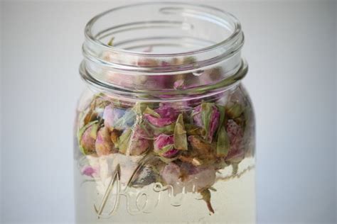 DIY Rosewater and Witch Hazel Natural Toner!