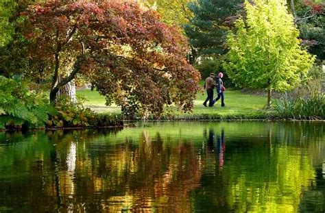 Stunning photographs capture the arrival of Autumn - Liverpool Echo