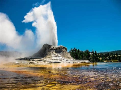 Yellowstone, Glacier & Grand Teton Tours by Action Tour Guide