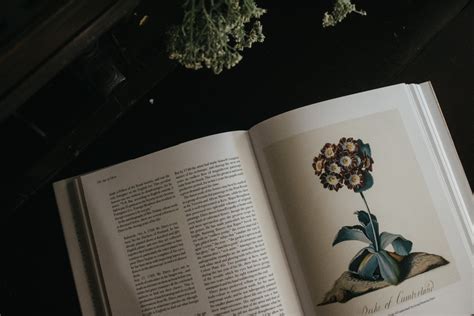 3 Best Botanical Illustration Books to Inspire Your Studies – Herbal Academy