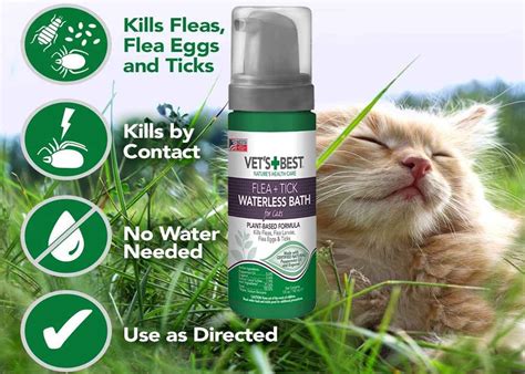 Best Flea Shampoo for Cats & Kitties Reviewed - Buying Guide