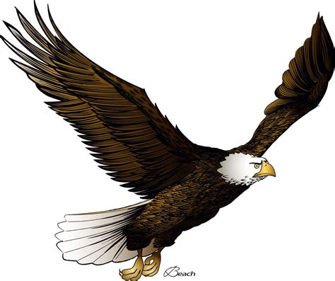 Eagle flying illustration, Color | joshbrunton Eagle Images, Bee ...