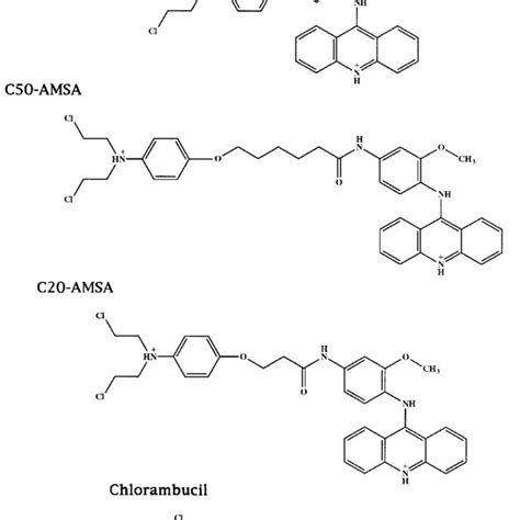 The structure of the nitrogen mustards used in this study. | Download ...