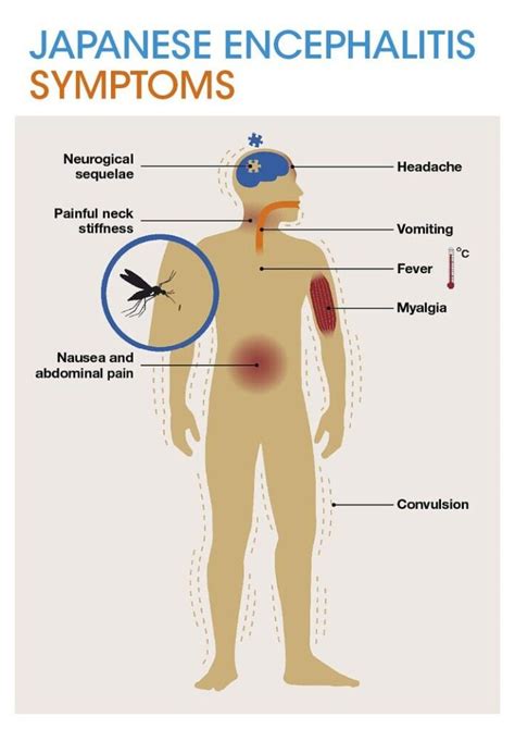 10 Symptoms of renal vein thrombosis You Should Never Ignore ...