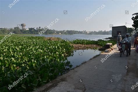 Santragachi Jheel Lake Seen Typical Water Editorial Stock Photo - Stock Image | Shutterstock