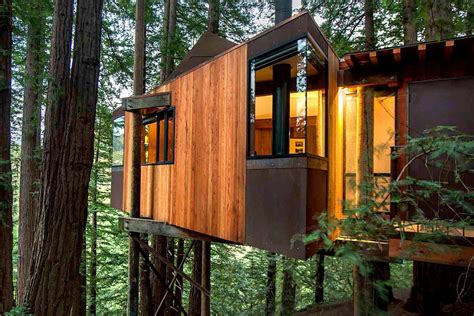 Enjoy unspoiled surroundings in these luxury treehouses