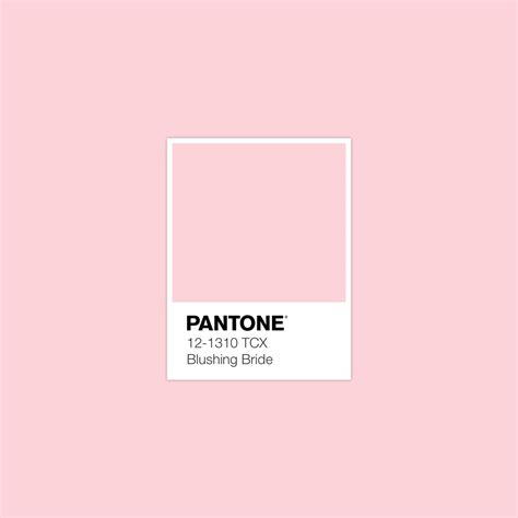 pantone blushing bride - Google Search | Tavolozze dei colori, Pantone, Colori vernici