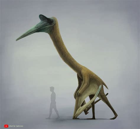 Quetzalcoatlus by MarioLanzas on DeviantArt