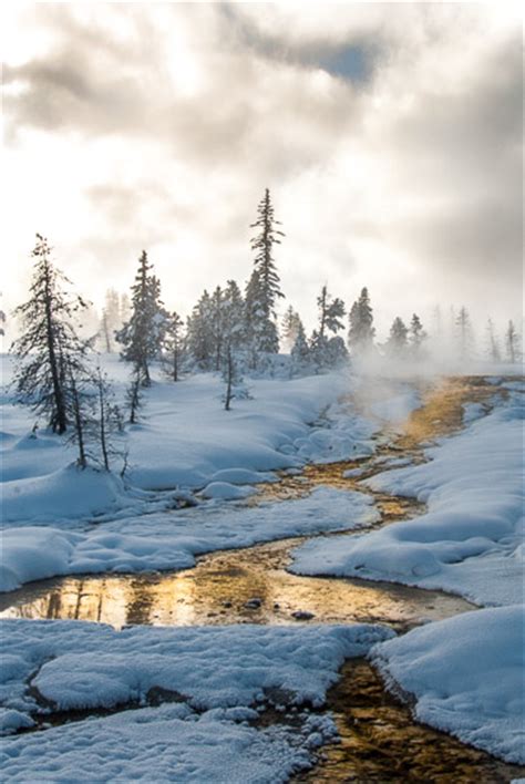 Yellowstone National Park Is Even More Magical In Winter Than Summer