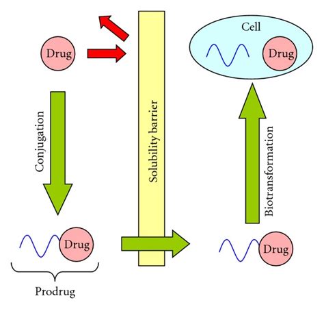 Poly(ethylene glycol)-Prodrug Conjugates: Concept, Design, and Applications (PDF Download Available)