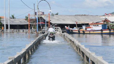 BMKG Beber Penyebab Banjir Rob di Pulau Pasaran yang Terbesar ...