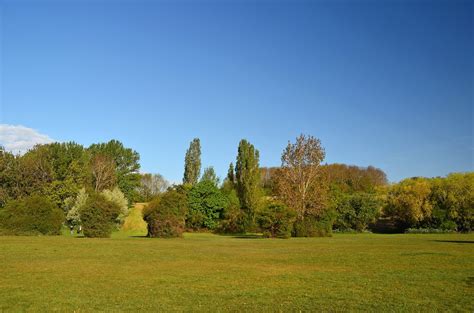 SS15 wildlife watching: Visit to Gloucester Park - 19th April 2020