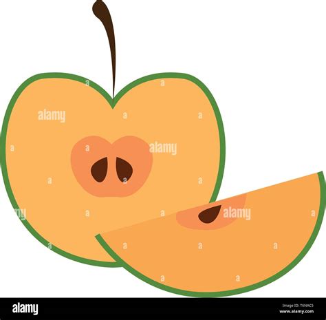 A green apple cut into half and is ready to serve vector color drawing ...