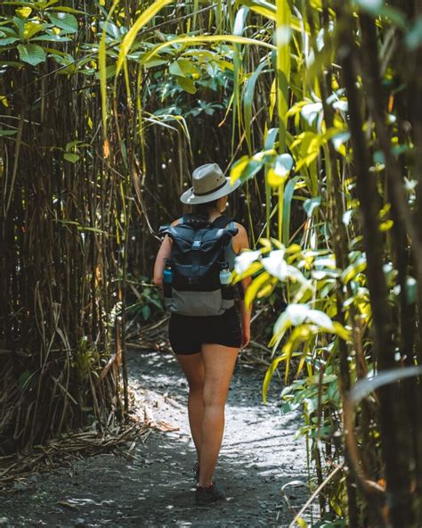 Arenal 1968 Trail: How to Hike Arenal Volcano - Hungariandreamers