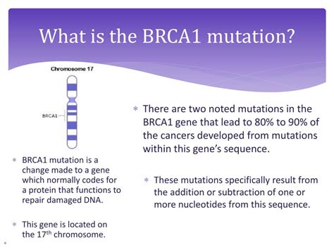 PPT - Investigating the BRCA1 Mutation PowerPoint Presentation, free ...