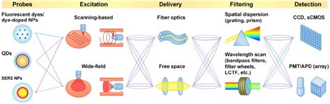 Schematic of optical imaging approaches for different imaging probes.... | Download Scientific ...