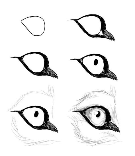 impressive-ways-to-draw-an-eye-easily | Dessins faciles, Croquis de loup, Yeux de loup