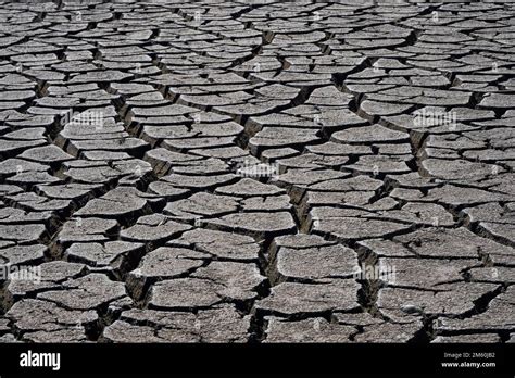 Heavily desiccated soil of Lake Neusiedl, Lake Neusiedl-Seewinkel ...