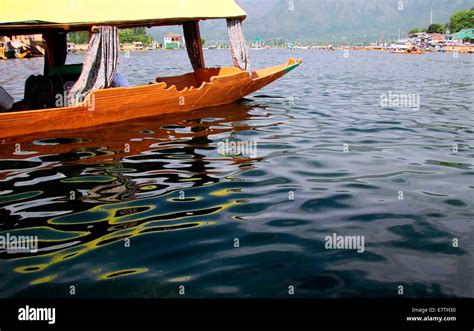 Dal Lake, Srinagar Stock Photo - Alamy